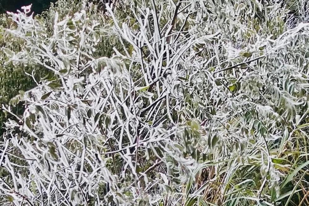 Nghệ An: Ngắm băng tuyết phủ trắng đỉnh núi trong giá lạnh -3 độ-3