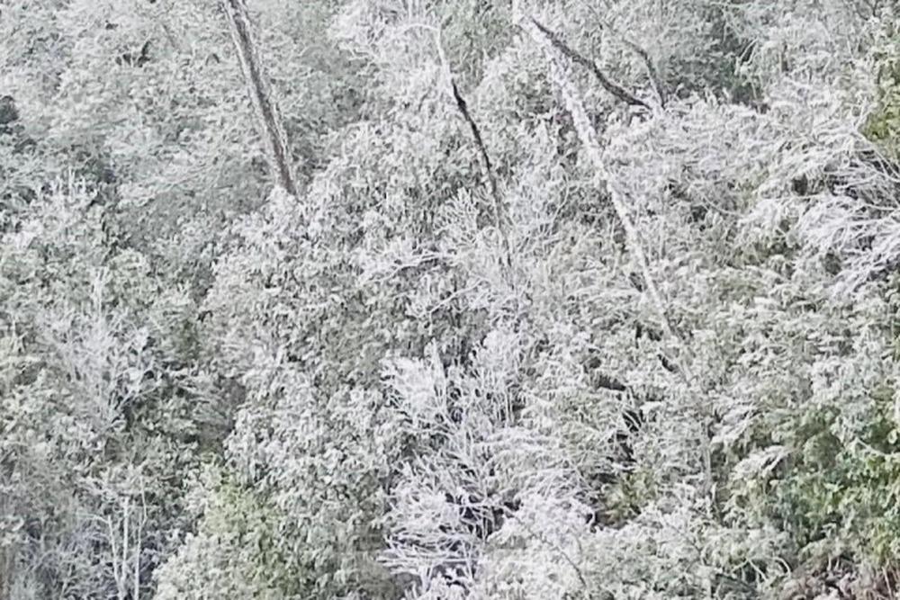 Nghệ An: Ngắm băng tuyết phủ trắng đỉnh núi trong giá lạnh -3 độ-5