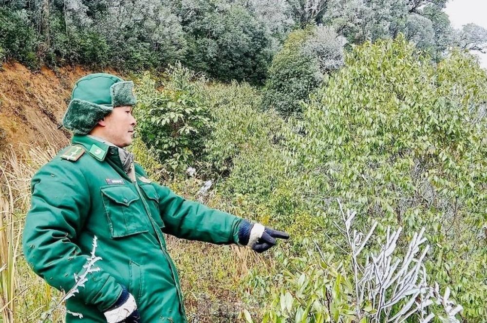 Nghệ An: Ngắm băng tuyết phủ trắng đỉnh núi trong giá lạnh -3 độ-6