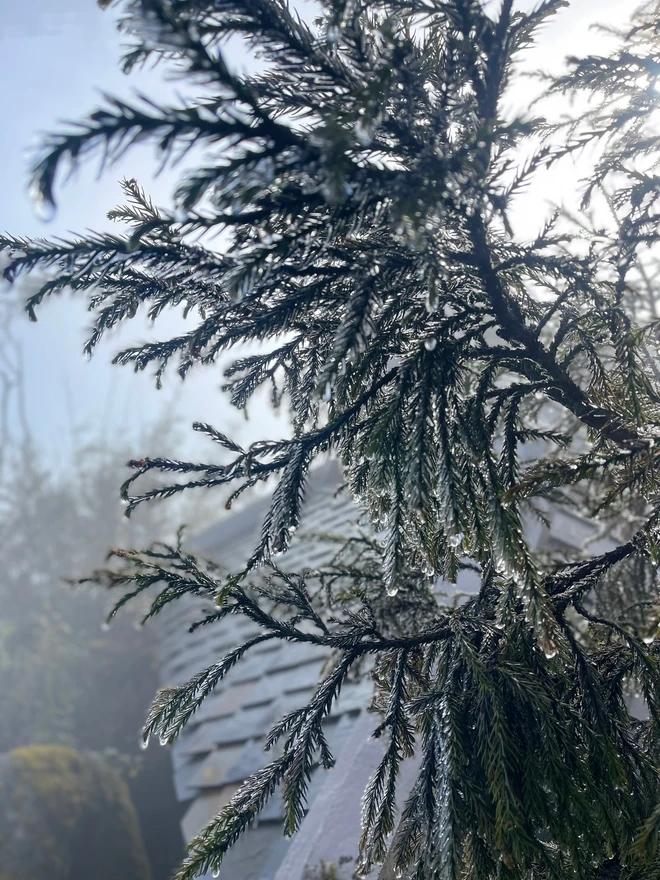 Xuất hiện băng giá trên đỉnh Fansipan, các bạn trẻ rục rịch đi săn tuyết-4