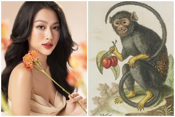 Chớ thấy lười mà chê: 3 tuổi ăn lộc sâu dày, công danh chót vót-4