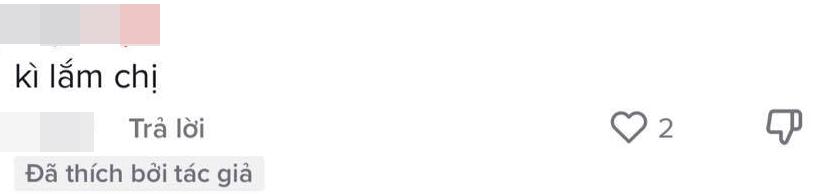 Lệ Quyên cover Xin Lỗi bị netizen chê dữ dội-4