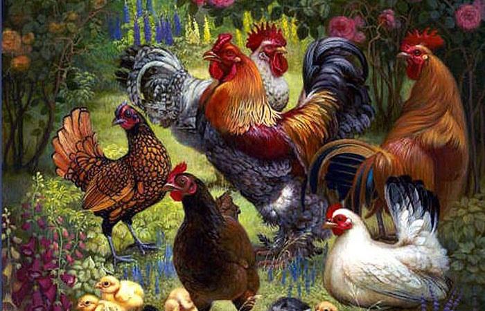 Từ 20 - 23/12 ngu ngơ hưởng thái bình, 3 tuổi có đức mặc sức ăn-3