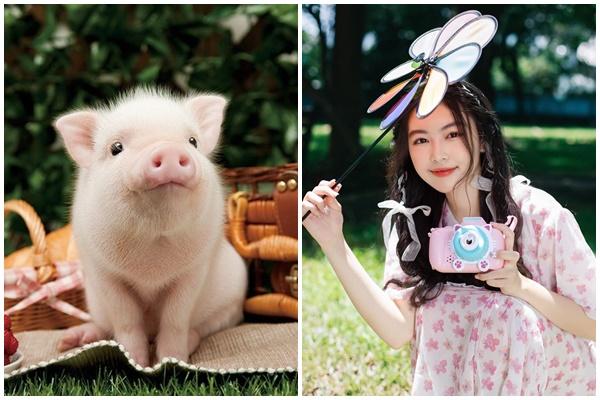 Đúng 1/1/2023: 3 con giáp rũ sạch vận xui, tiền tài no đủ-3