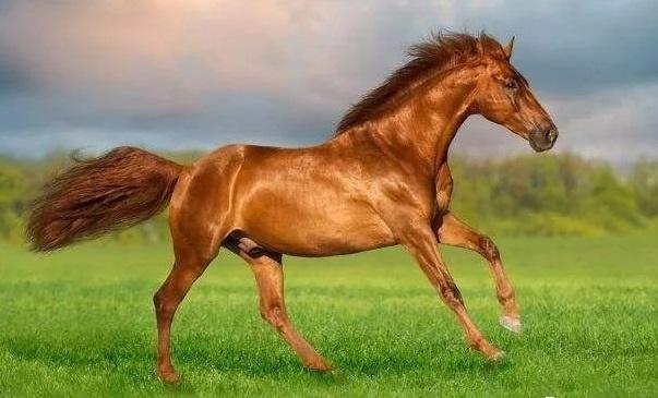 10 ngày cuối 2022 vượt mọi khó khăn, 4 tuổi kiếm tiền cực dễ-2