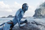Hé lộ thù lao triệu đô của dàn sao 'Avatar 2'