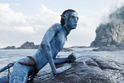 Hé lộ thù lao triệu đô của dàn sao 'Avatar 2'