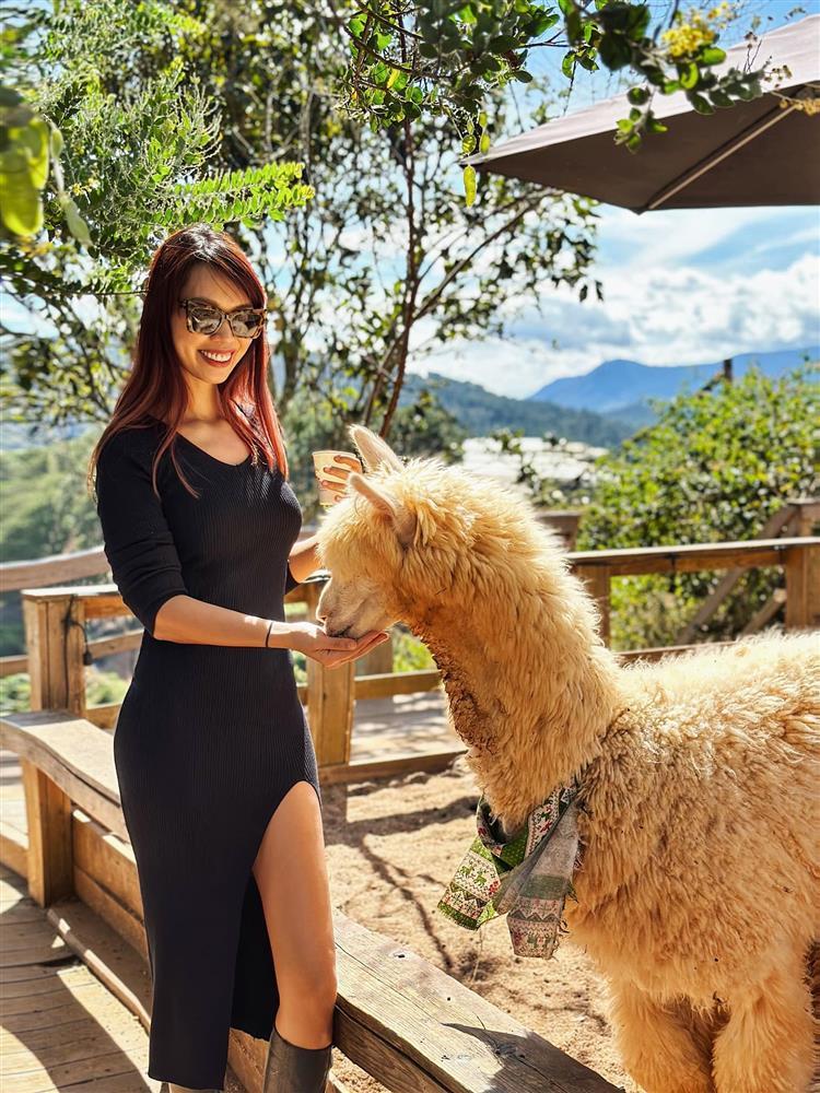 Tin showbiz Việt ngày 21/12: Lâm Khánh Chi hé lộ về nhẫn khủng-4