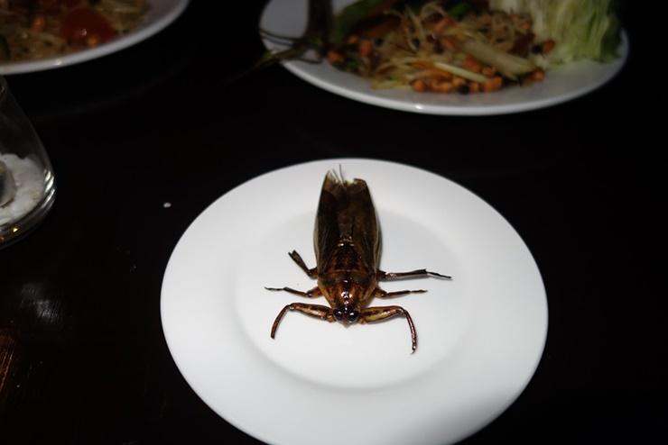 7 món ăn kỳ lạ nhất ở Lào, món thứ 3 không ai dám thưởng thức-5