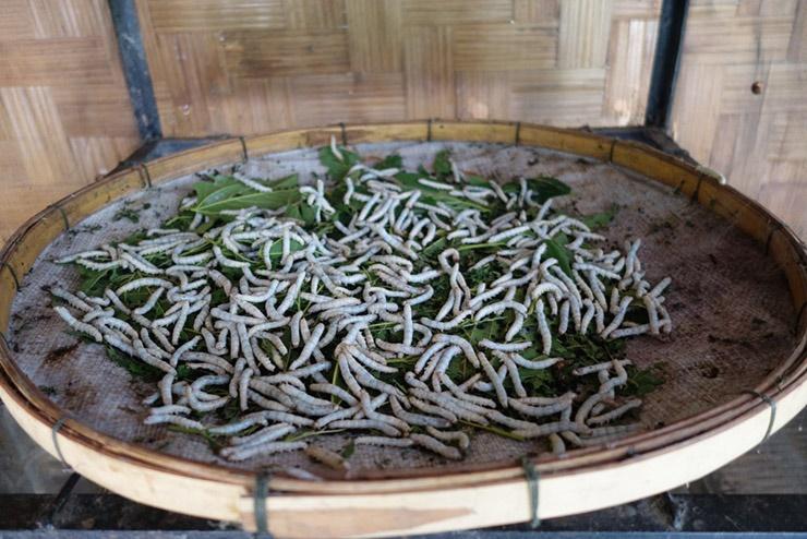 7 món ăn kỳ lạ nhất ở Lào, món thứ 3 không ai dám thưởng thức-7