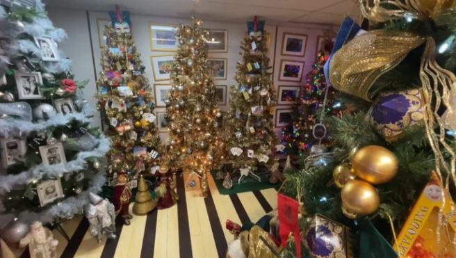 Cặp vợ chồng trang hoàng 133 cây thông Noel khắp nhà đón Giáng sinh-3