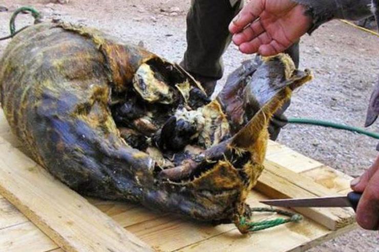 7 món ăn kỳ lạ nhất vào dịp Giáng sinh trên thế giới-3