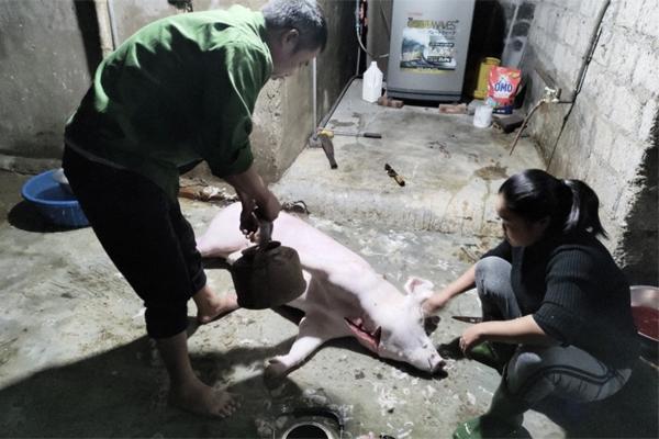 Mổ lợn tại nhà riêng, 2 người dân bị phạt 14 triệu đồng-1