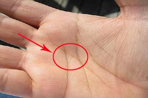 Nhìn đường chỉ tay đoán vận mệnh: 3 đường phú quý, 1 đường nghèo khó-1