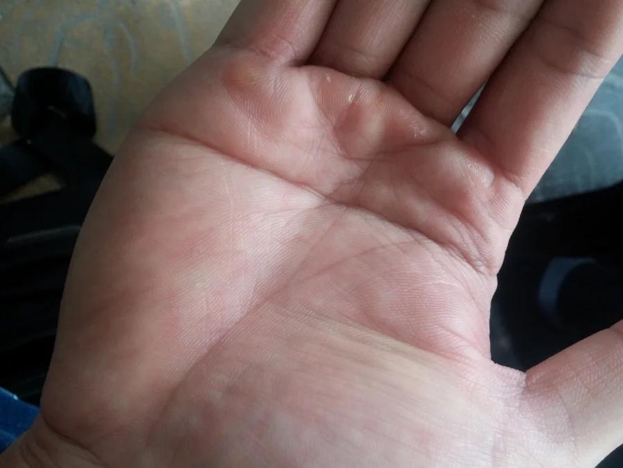 Nhìn đường chỉ tay đoán vận mệnh: 3 đường phú quý, 1 đường nghèo khó-2