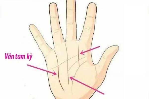 Nhìn đường chỉ tay đoán vận mệnh: 3 đường phú quý, 1 đường nghèo khó-3