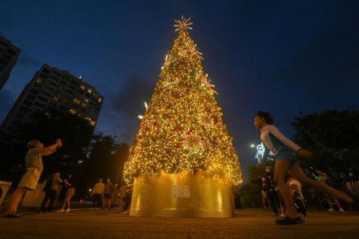 Hình ảnh cây thông Giáng sinh lung linh ở Singapore.