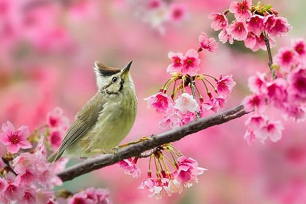 Đàn ông may mắn mới lấy được làm vợ sinh ở tháng âm lịch này-1