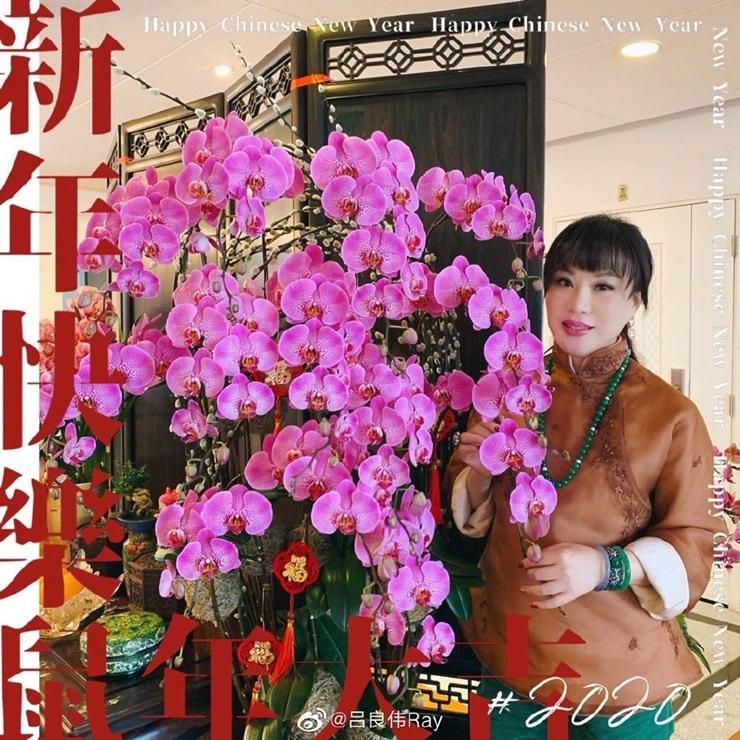 Triển Chiêu sinh ở Việt Nam U70 phong độ như mới 40 tuổi-11