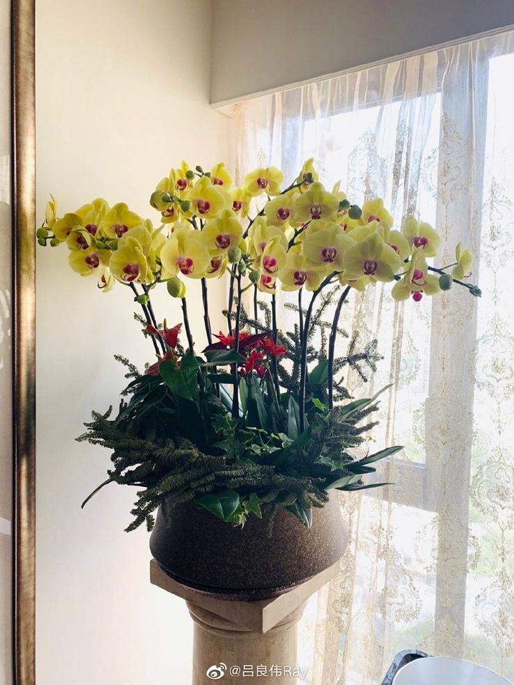 Triển Chiêu sinh ở Việt Nam U70 phong độ như mới 40 tuổi-14