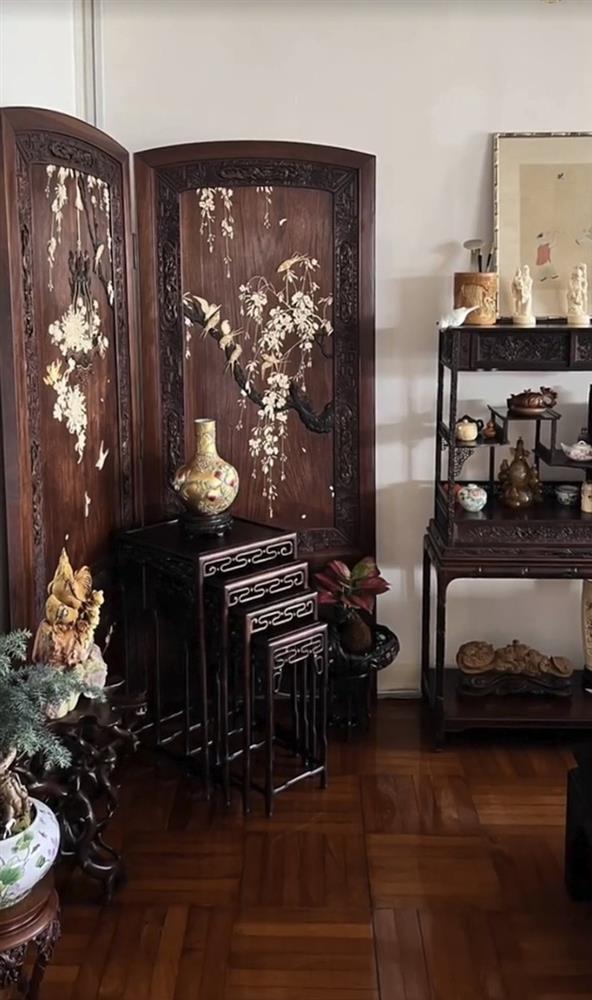 Triển Chiêu sinh ở Việt Nam U70 phong độ như mới 40 tuổi-6