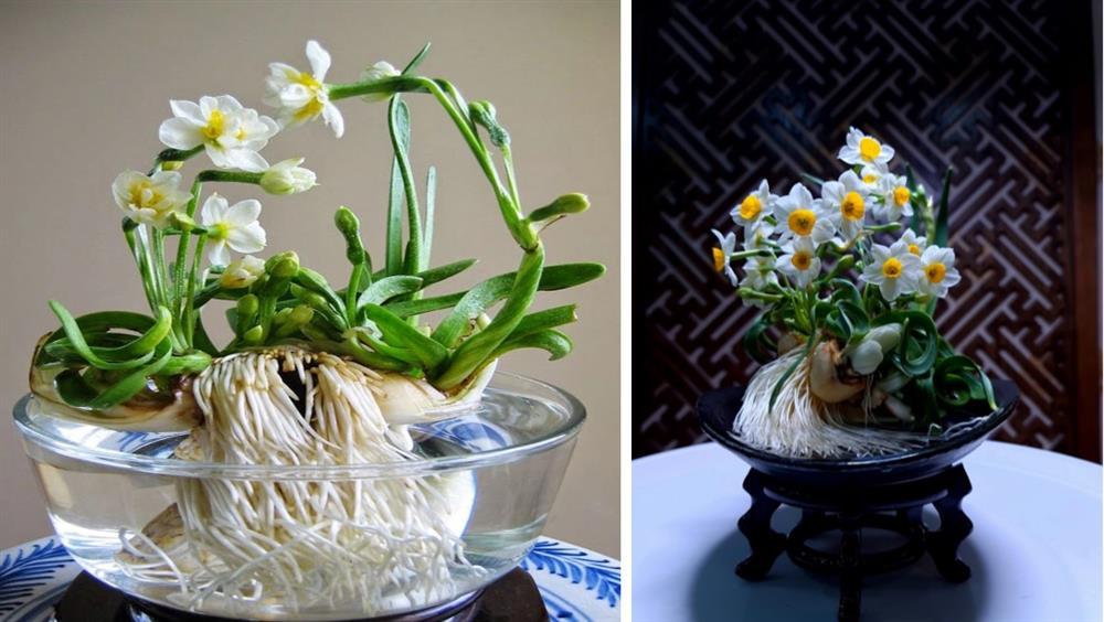 Vì sao gọi là tháng Chạp - tháng bận rộn, nhiều kiêng kỵ nhất năm?-2