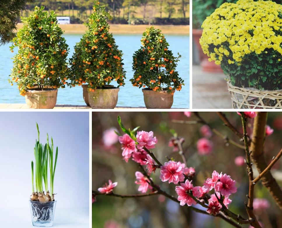 Vì sao gọi là tháng Chạp - tháng bận rộn, nhiều kiêng kỵ nhất năm?-3