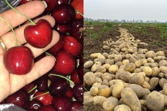 5 thực phẩm chứa trong tủ lạnh là chất độc chậm gây hại sức khỏe