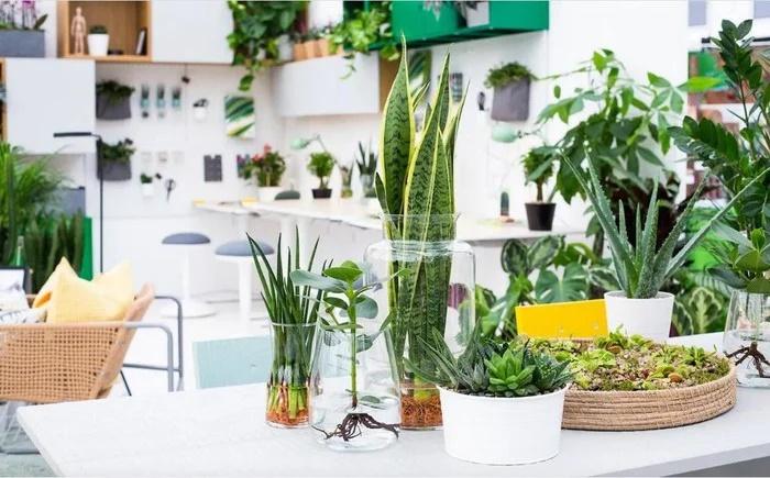 Bếp là nơi tụ tài, làm 2 điều để cả năm đại cát, thuận buồm xuôi gió-2