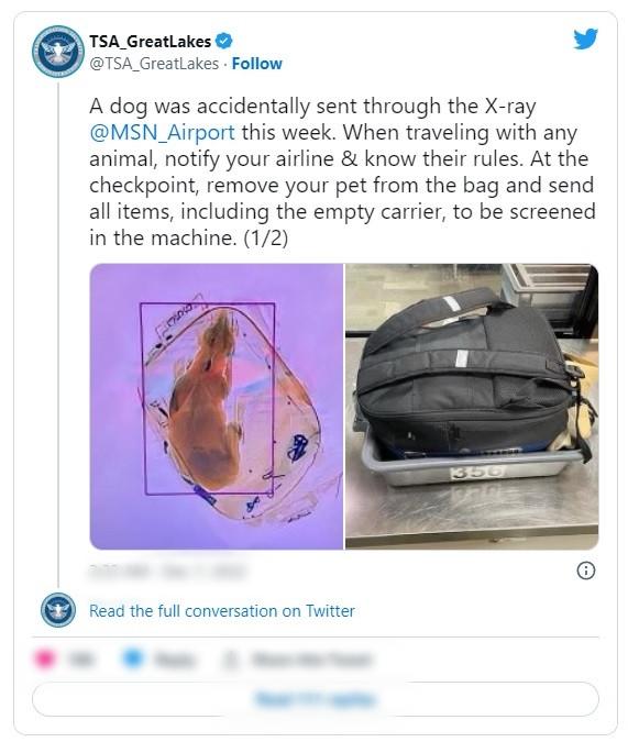 An ninh sân bay tìm thấy chó trong hành lý, du khách nói quên kiểm tra-1