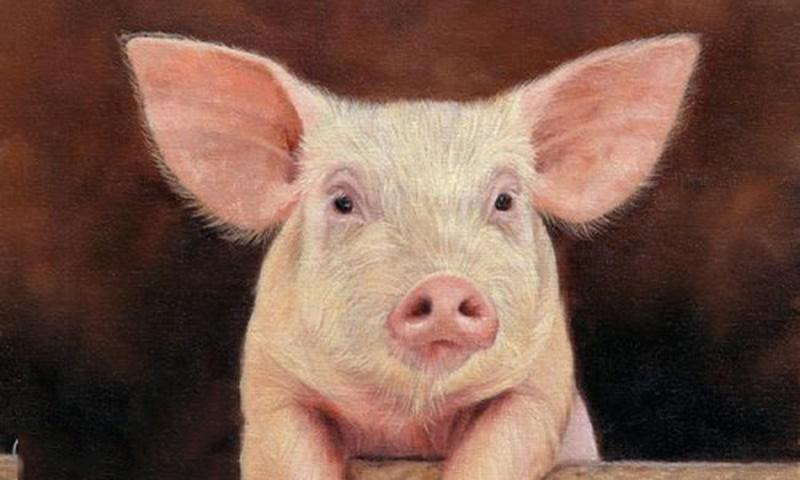 Ngày 29/12 buôn may bán đắt, 4 tuổi được lộc ăn nên làm ra-3