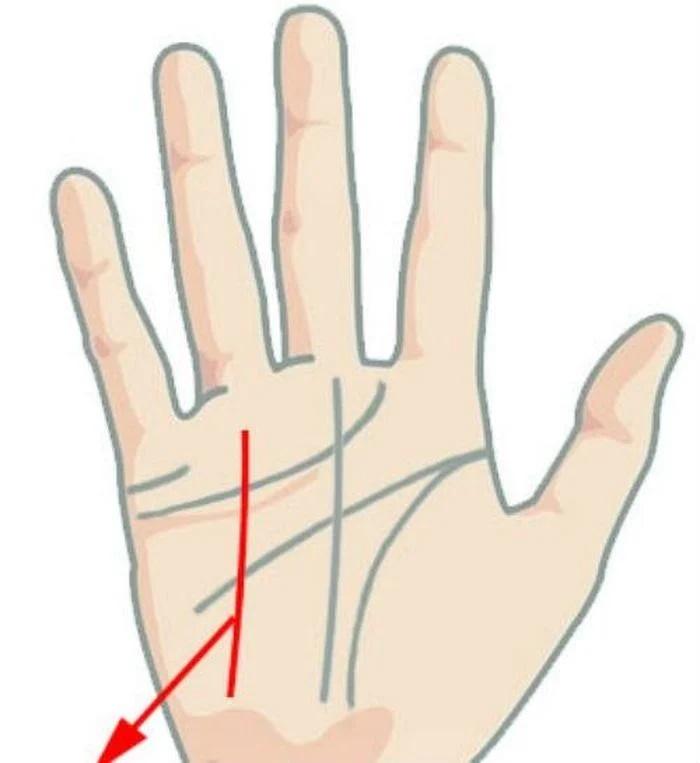 Dấu hiệu bàn tay công danh vượng phát, không lo thiếu tiền-3