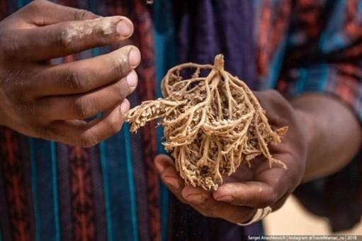 Biện pháp tránh thai kỳ lạ ở sa mạc Sahara-1