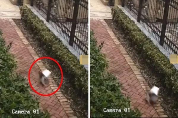 Sợ khách đợi lâu, anh shipper trổ tài nấu ăn như đầu bếp 5 sao-4