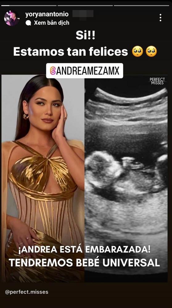 Miss Universe có bầu với phóng viên điển trai?-2