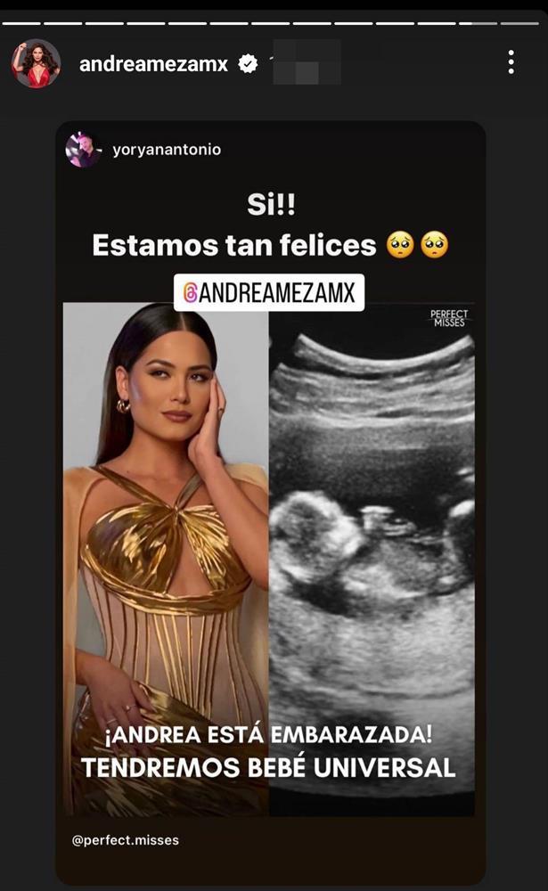 Miss Universe có bầu với phóng viên điển trai?-3