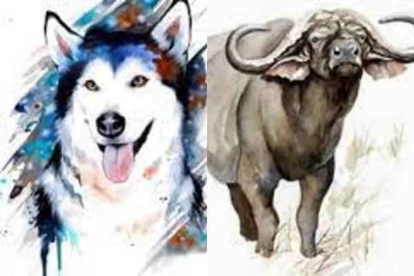 4 tuổi được so sánh với cỗ máy in tiền 6 tháng đầu năm 2023-2