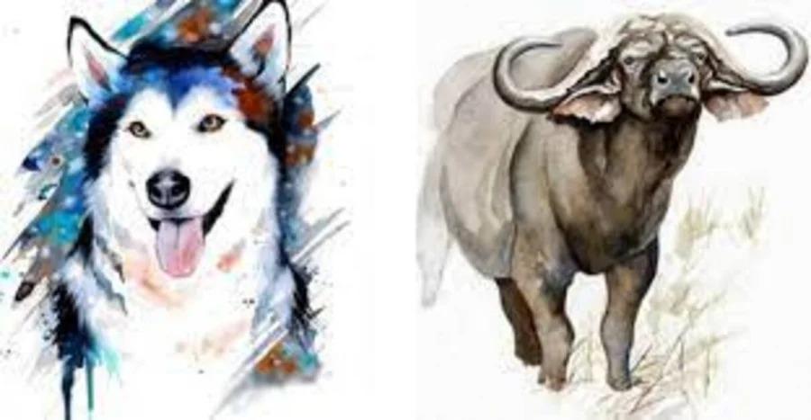 Con giáp đỏ nhất 6 tháng đầu năm 2023, tình yêu mỉm cười, sự nghiệp thăng hoa-1