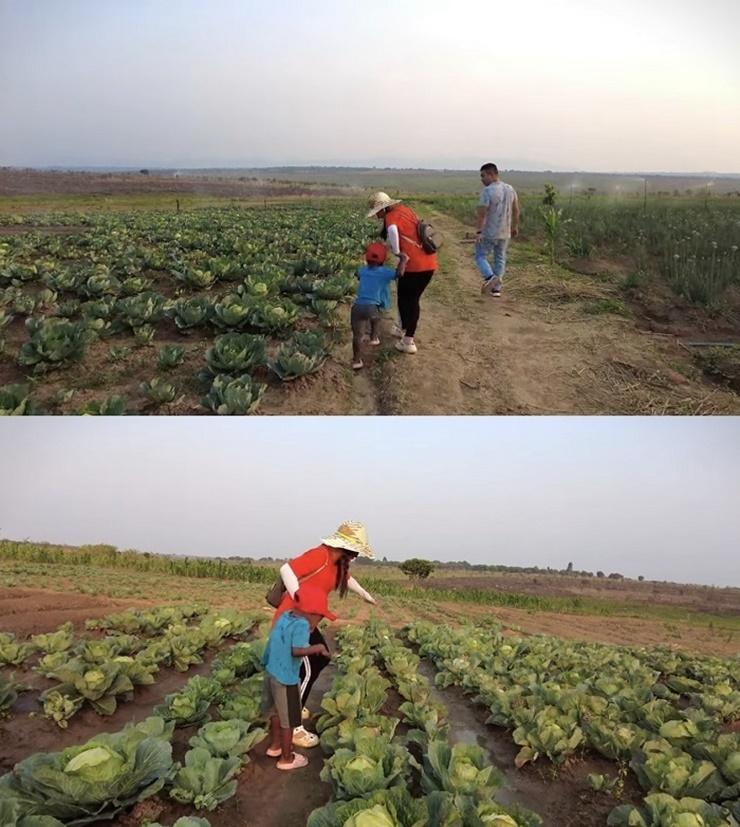 Từ mảnh đất hoang vu đến nay các loại rau củ đã được trồng, màu xanh phủ kín khắp các khu vực trong trang trại.