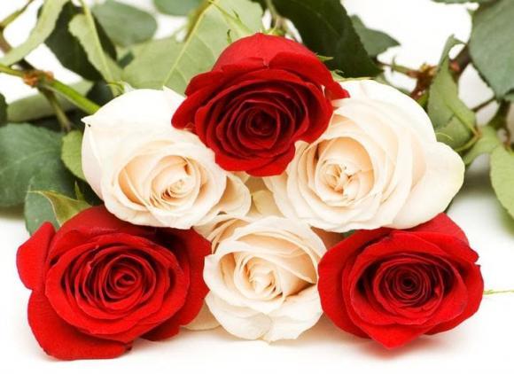 Những lời chúc Tết mới nhất năm 2023-1