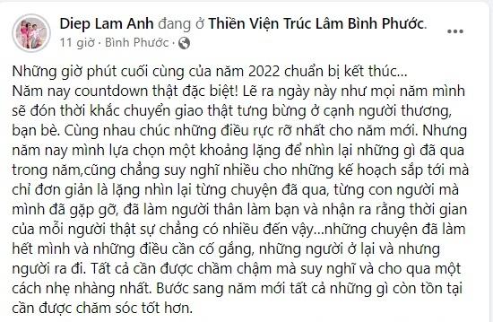 Diệp Lâm Anh chọn khoảng lặng sau một năm ồn ào, mệt mỏi-4