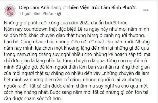 Diệp Lâm Anh chọn khoảng lặng sau một năm ồn ào, mệt mỏi-4