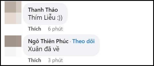 Minh Tú bị đào ảnh cũ: Thím Liễu chứ không phải Thúy Liễu-5