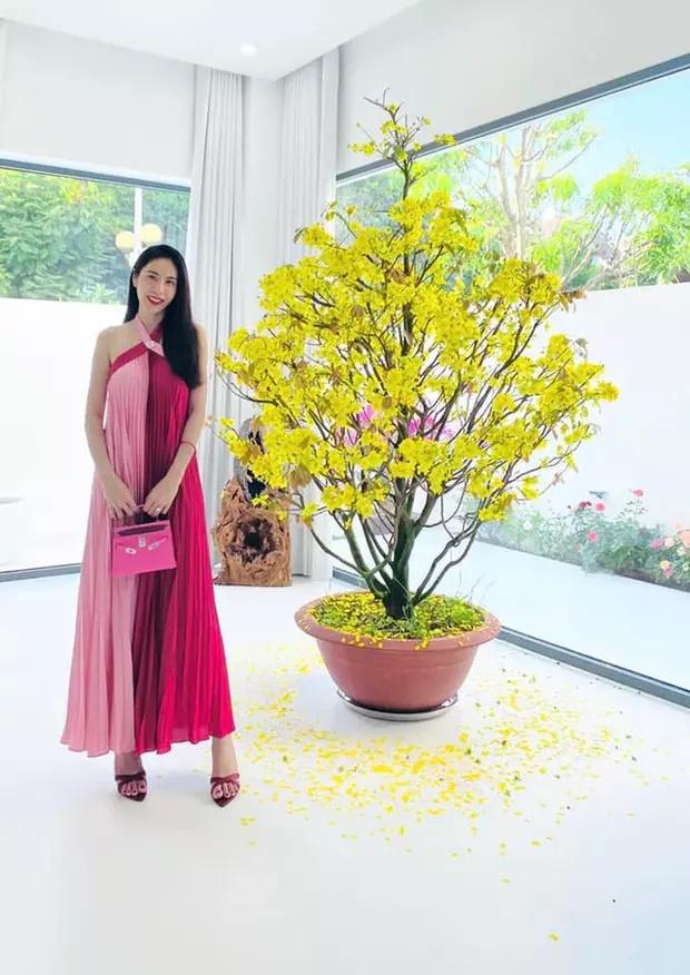 Loạt ảnh hiếm biệt thự mới của Thủy Tiên - Công Vinh-7