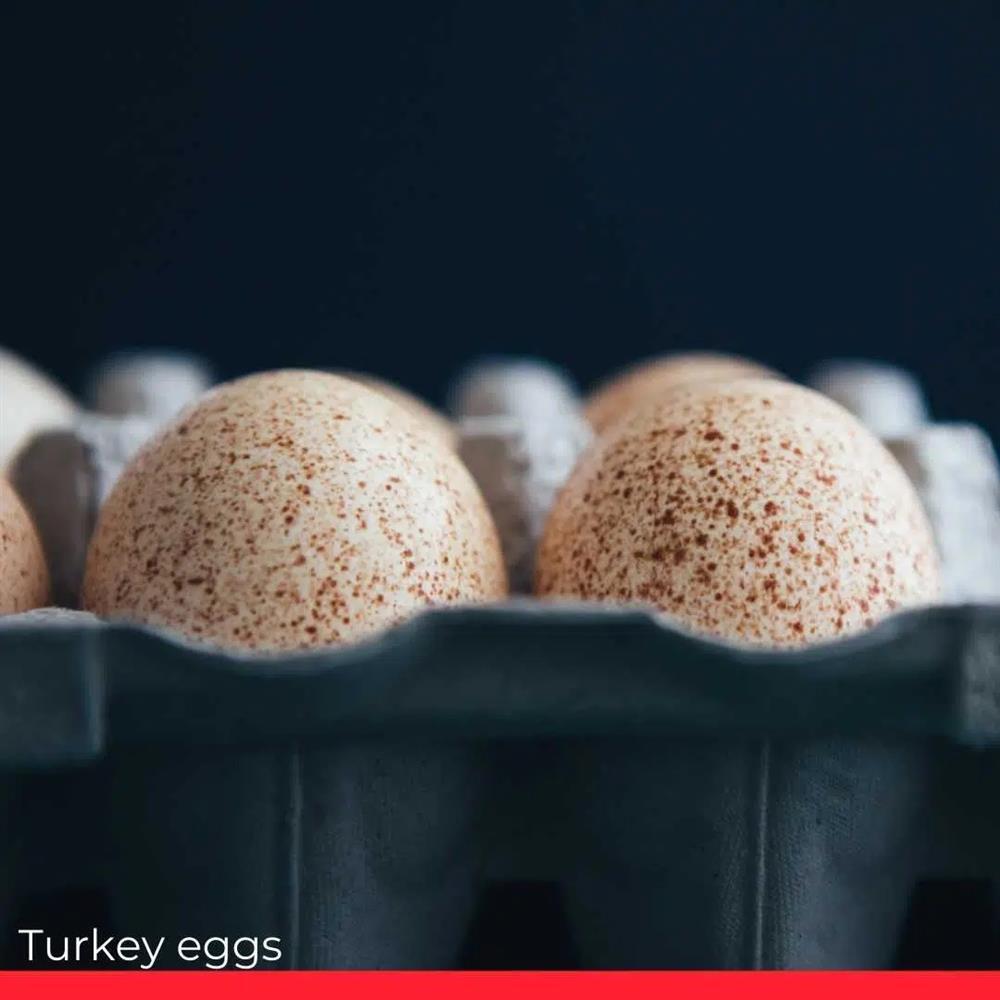 Điểm danh 6 loại trứng đắt nhất thế giới-4