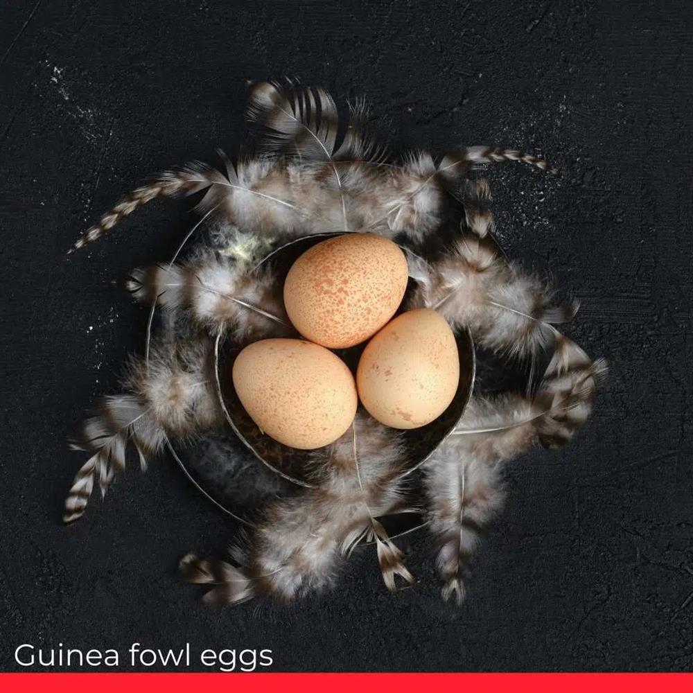 Điểm danh 6 loại trứng đắt nhất thế giới-6