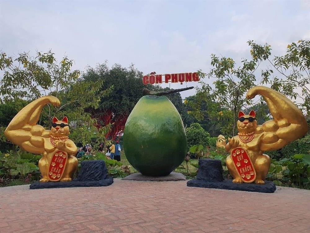 Xuất hiện tượng mèo lực sĩ ở Bến Tre khiến dân tình cười ngất-1