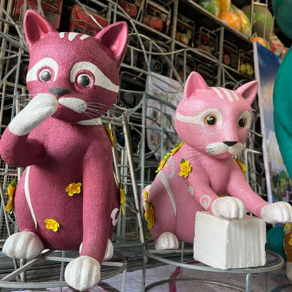 Xuất hiện tượng mèo lực sĩ ở Bến Tre khiến dân tình cười ngất-5