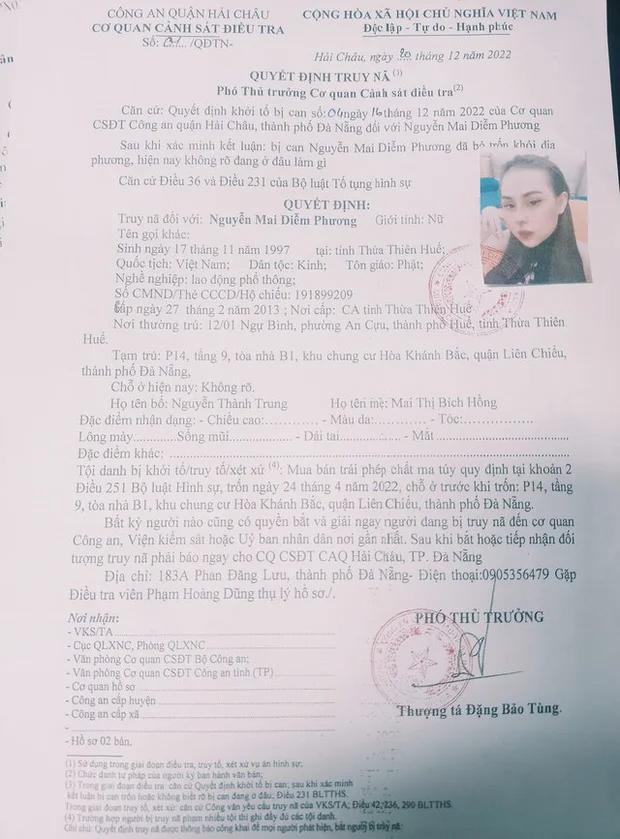 Truy nã hot girl từ Huế vào Đà Nẵng buôn ma túy-2