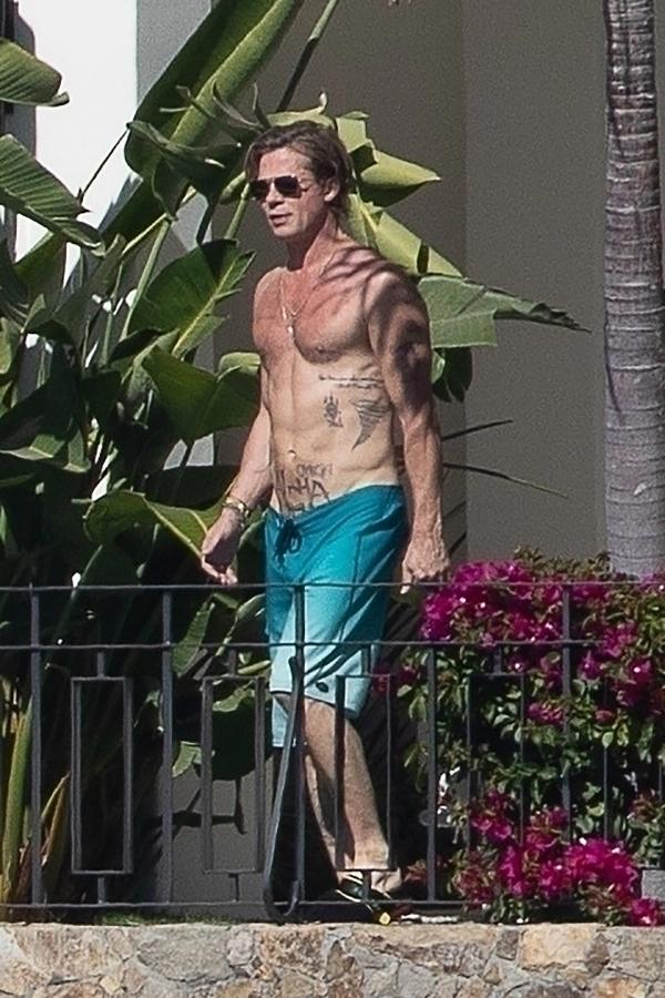 Bạn gái thả ngực trần bên bể bơi với Brad Pitt-2